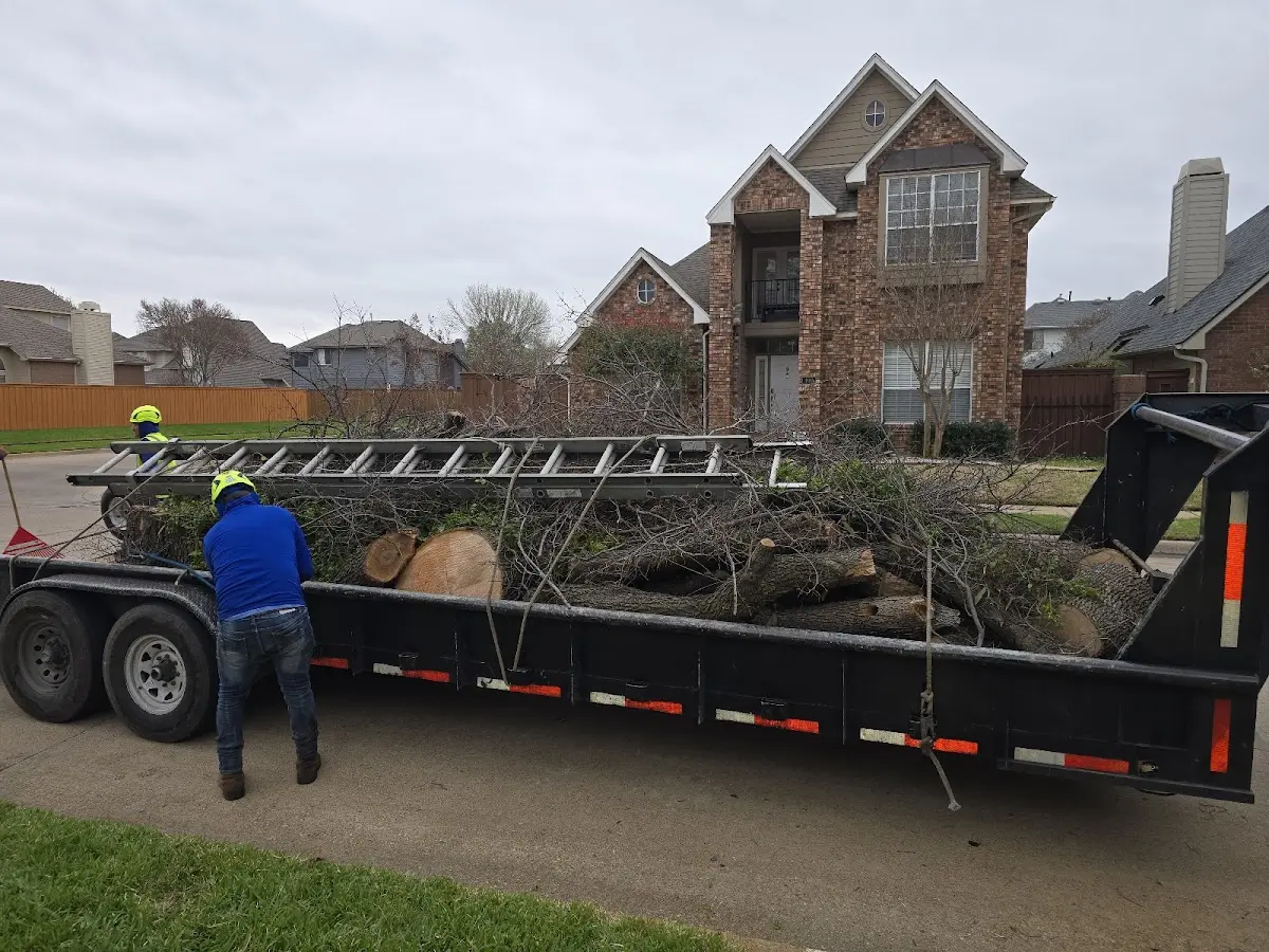 Expert Tree Removal with proper safety equipment in Westphalia